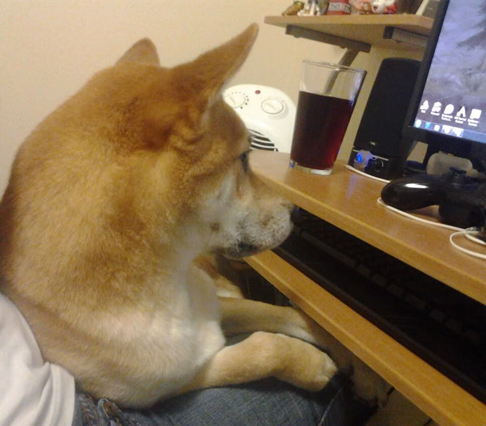 开云官网APP下载-以“智慧体育”理念打造未来国际水准赛事平台，智慧体育产业发展有限公司  第1张