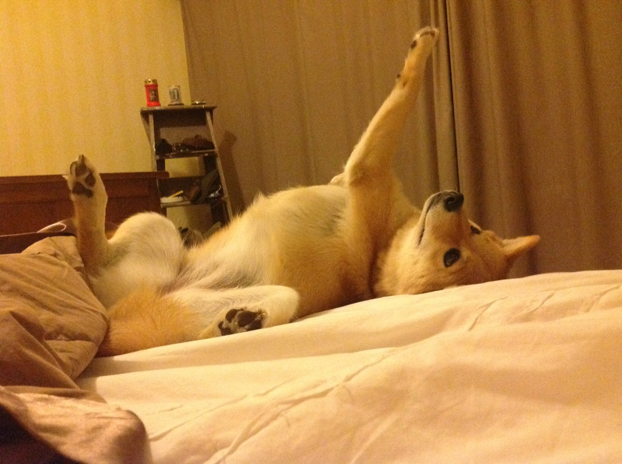 开云·体育全站登录地址-_勇士再次开火,三分连续命中_,勇士几连败了