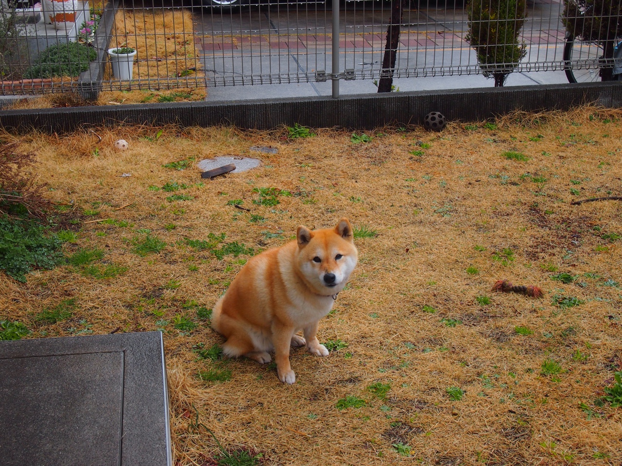 开云体育登陆入口-_老鹰快攻犀利,精彩对决不断_,老鹰秒训