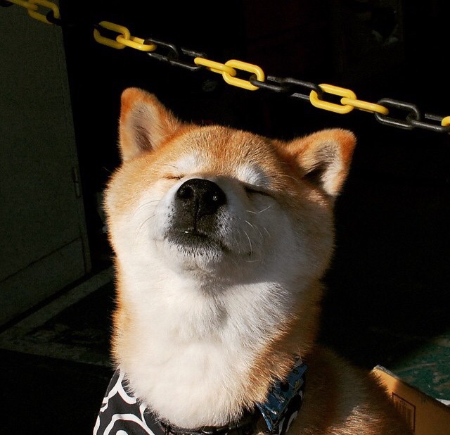 开运app入口-“法甲逆转好戏不断,场面激烈令人振奋”,法甲转会一览 新浪体育