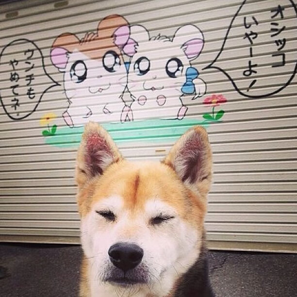 开云电竞平台注册-“西甲明星连续制造惊喜,带领球队冲刺佳绩”,西甲名人